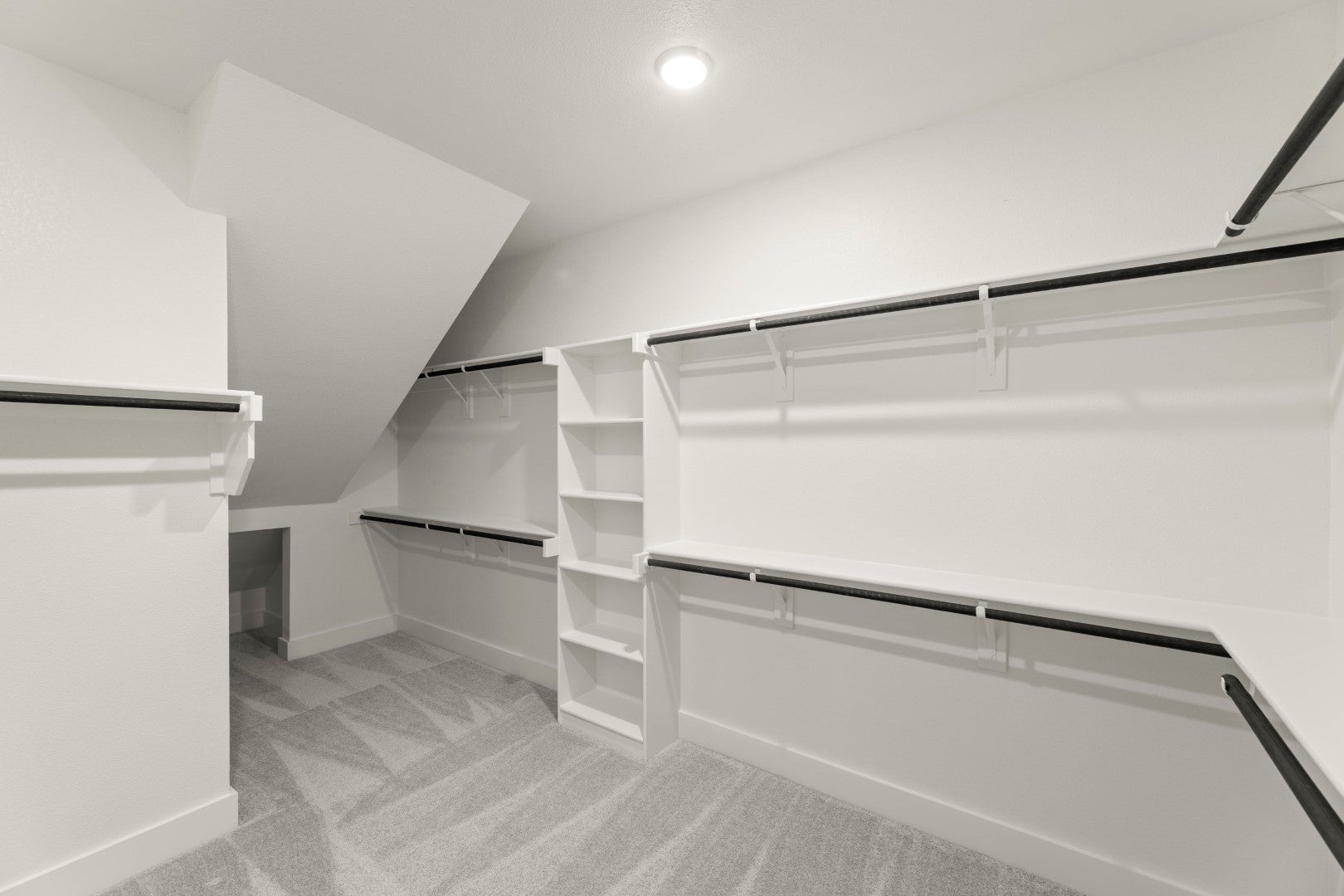 Primary • Suite