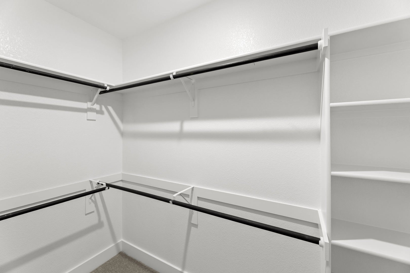 Primary • Suite