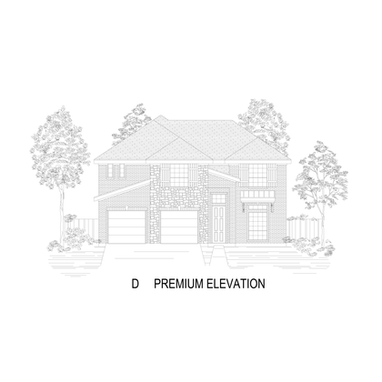 Elevation D