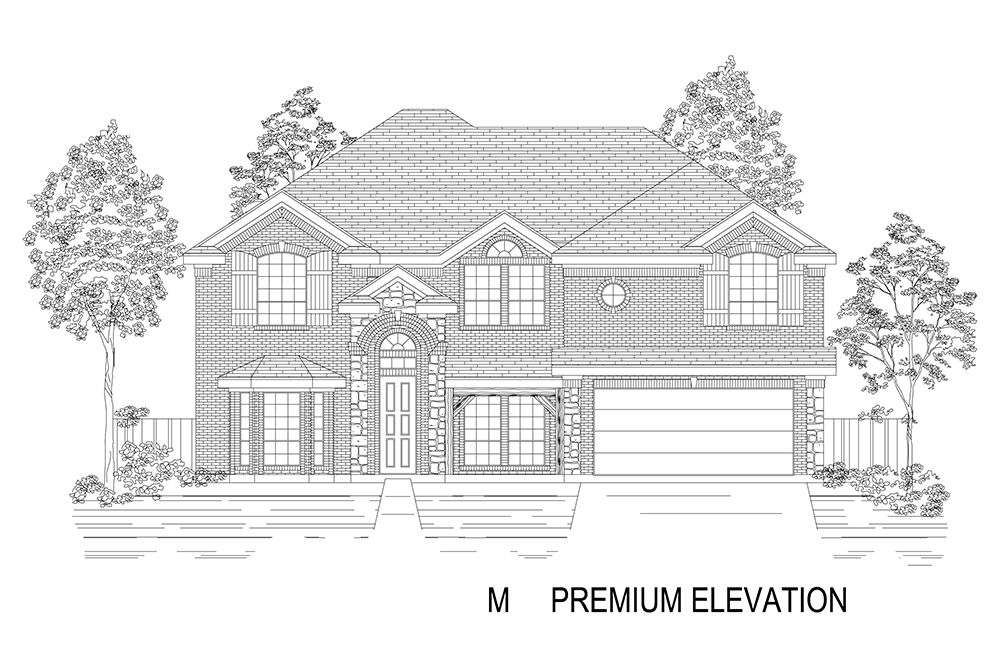 Elevation M