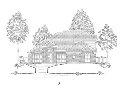 Elevation B