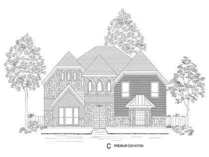 Elevation C