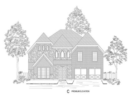 Elevation C