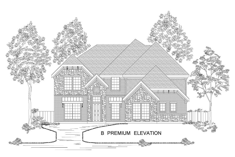 Elevation B