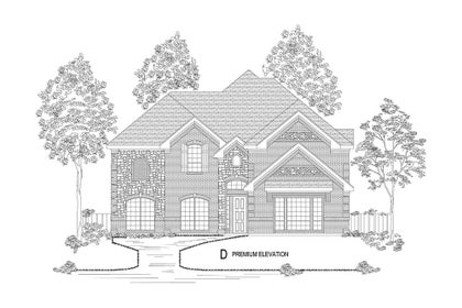 Elevation D