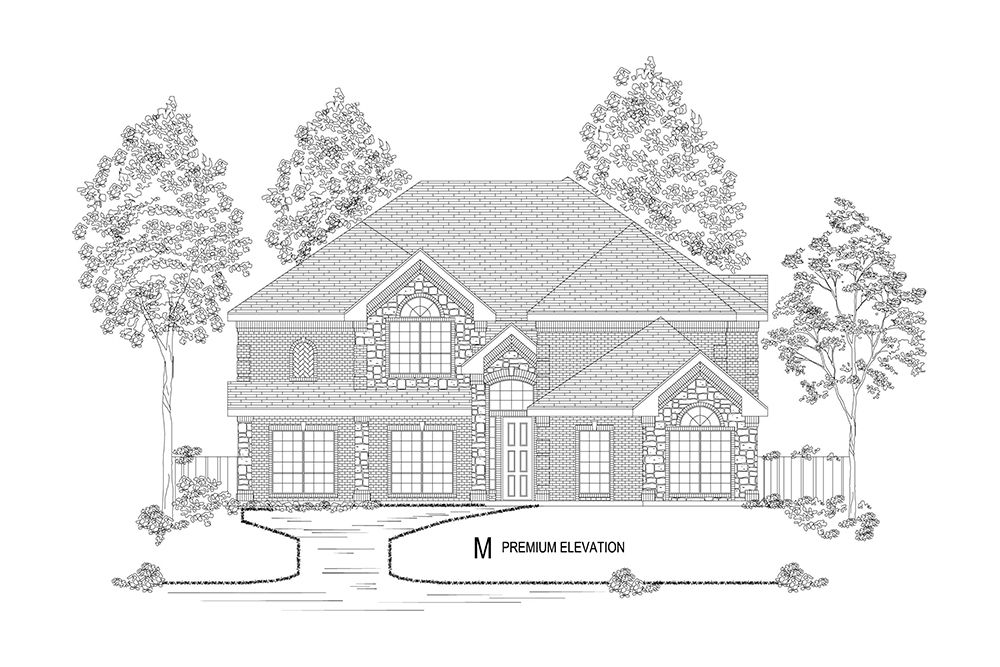 Elevation M