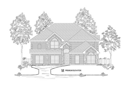 Elevation M