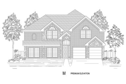 Elevation M