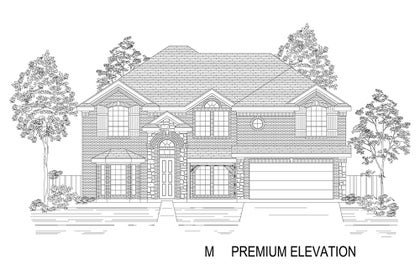Elevation M