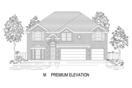 Elevation M