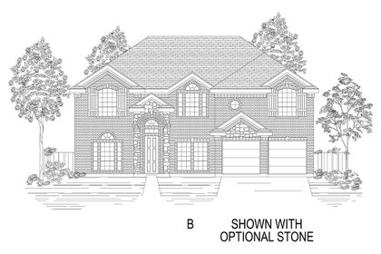 Elevation B
