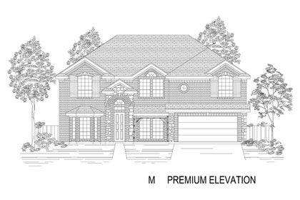 Elevation M