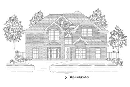 Elevation G