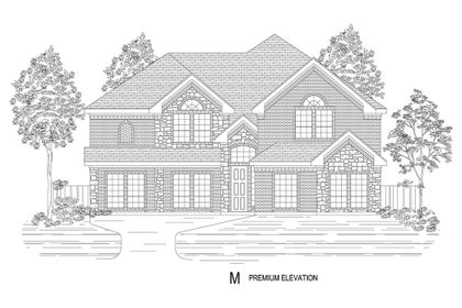 Elevation M