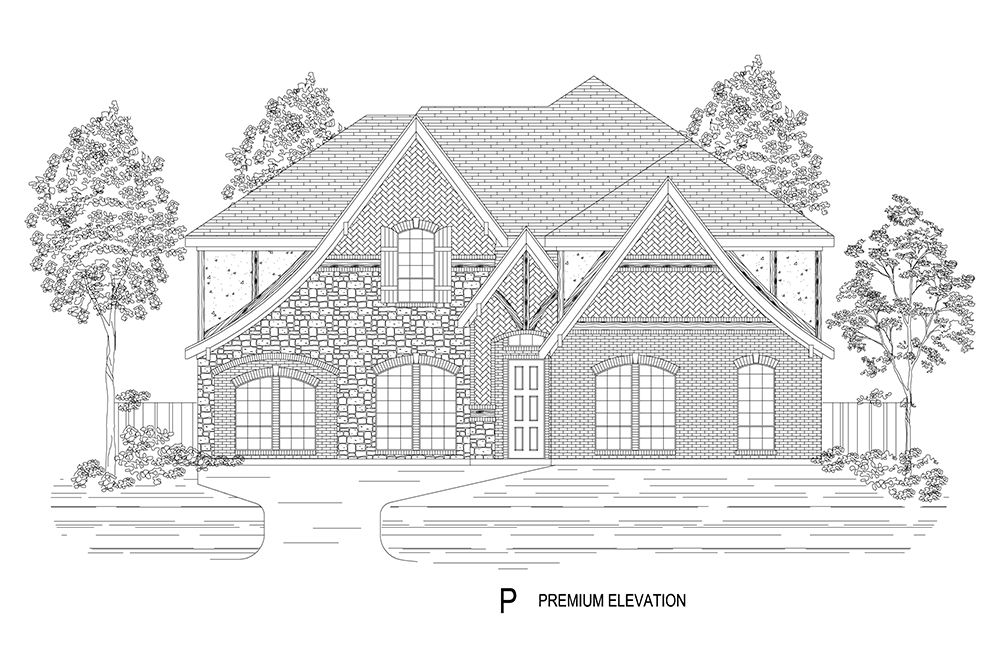 Elevation P