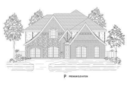Elevation P