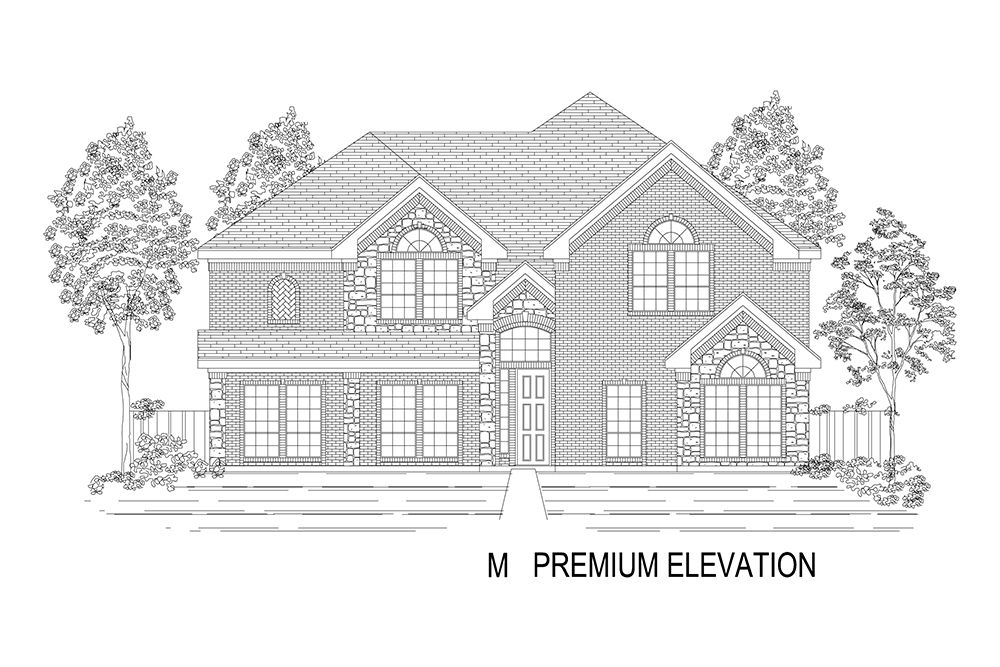 Elevation M