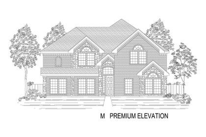 Elevation M