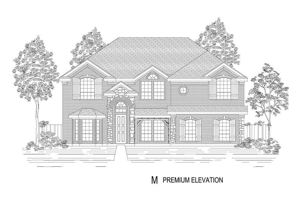 Elevation M