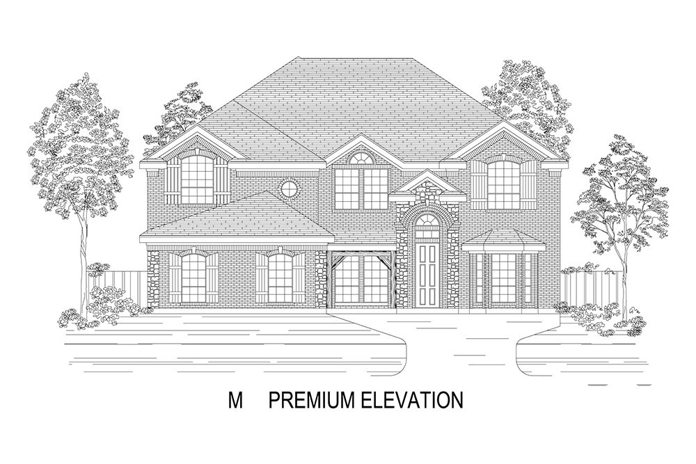 Elevation M