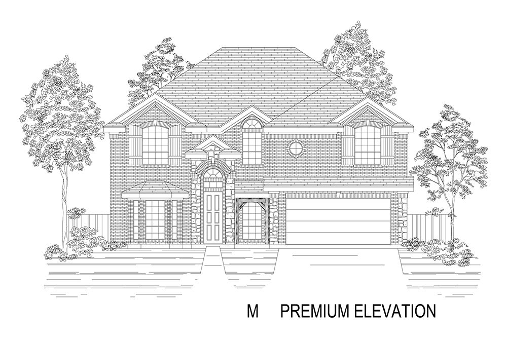Elevation M