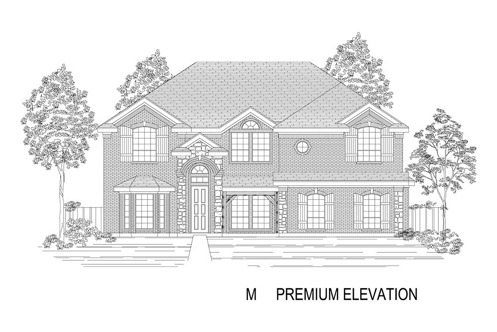 Elevation M