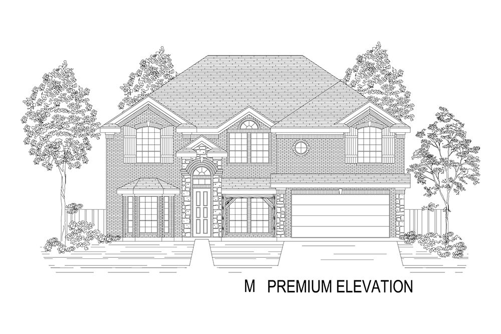 Elevation M