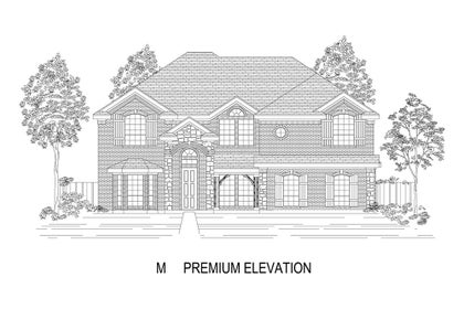 Elevation M