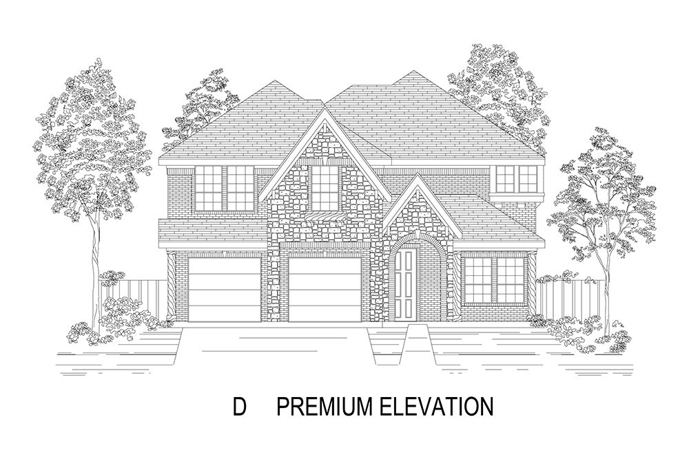 Elevation D