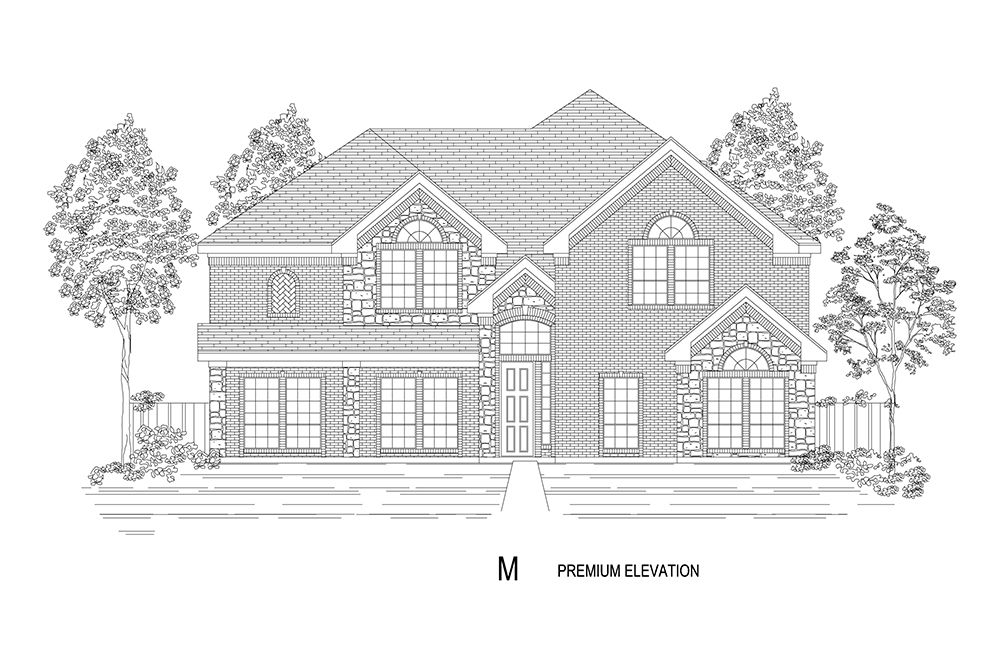 Elevation M