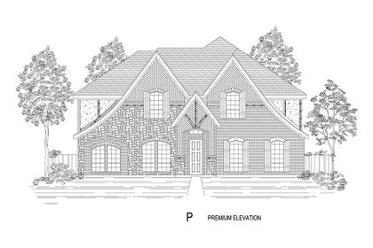 Elevation P