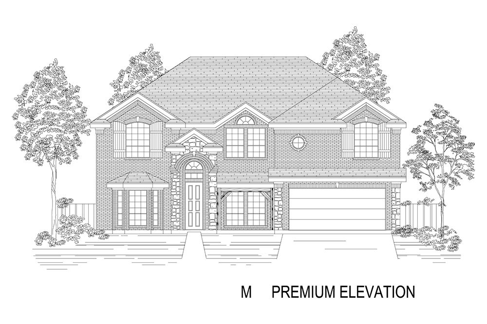 Elevation M