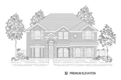 Elevation M