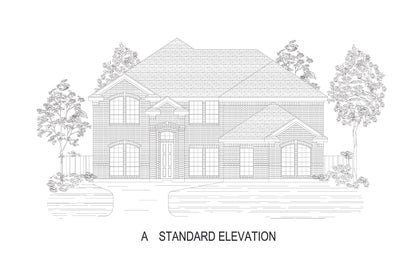 ElevationImage
