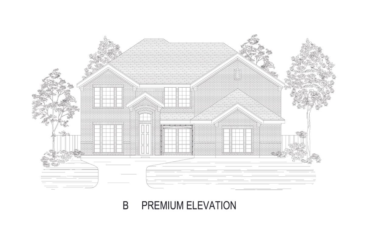 ElevationImage