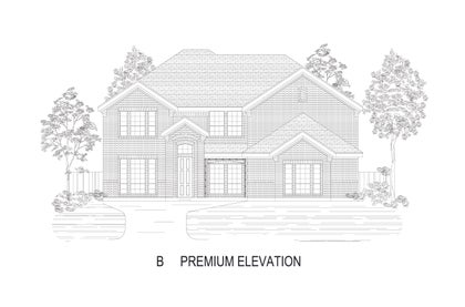 ElevationImage