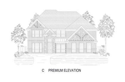 ElevationImage