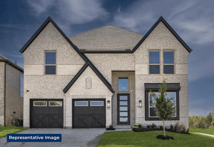 ElevationImage
