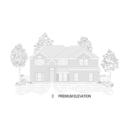 ElevationImage