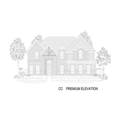 ElevationImage