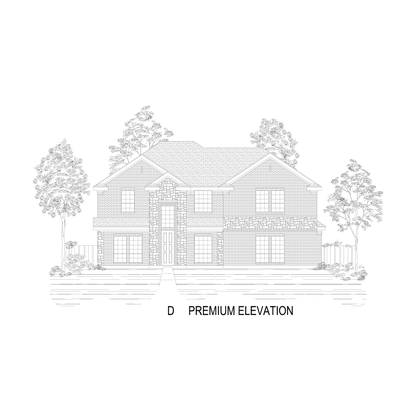 ElevationImage
