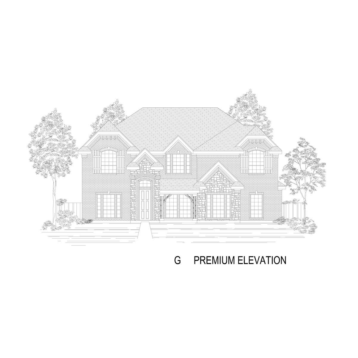 ElevationImage