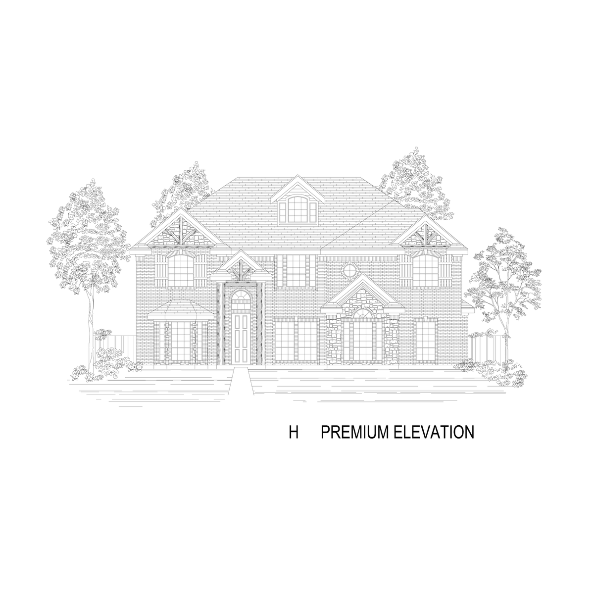 ElevationImage