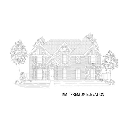 ElevationImage