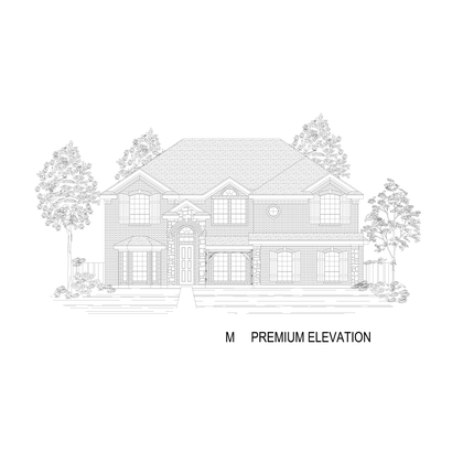ElevationImage