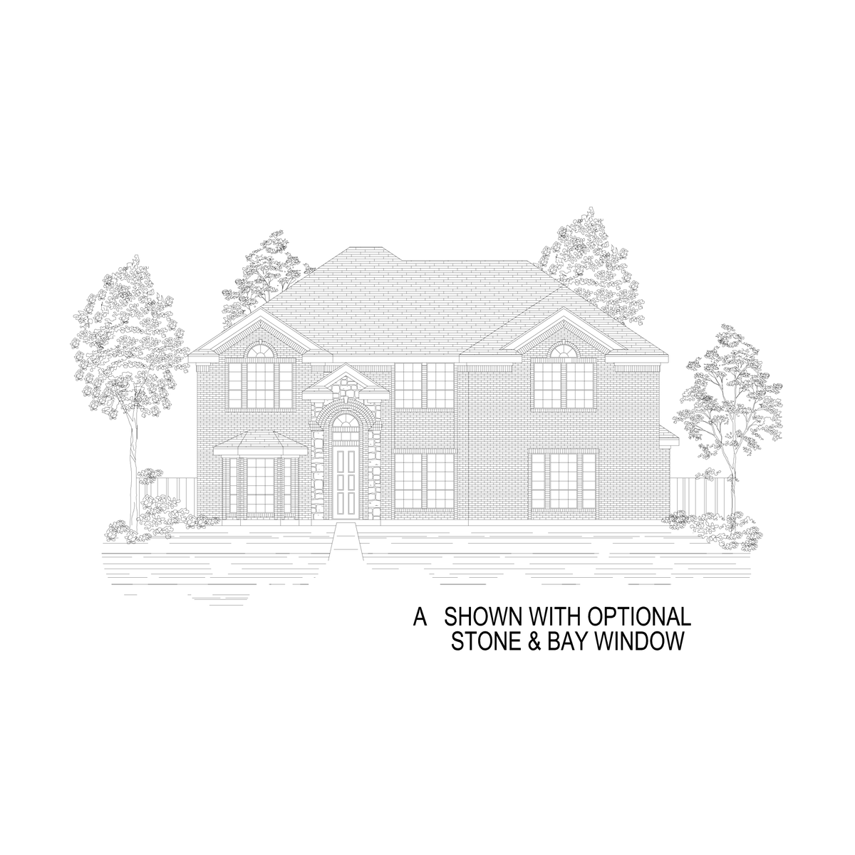 ElevationImage