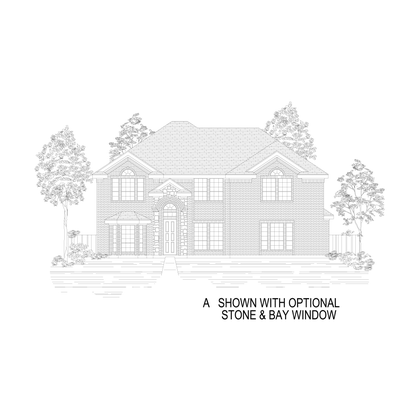 ElevationImage