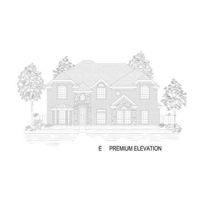 ElevationImage