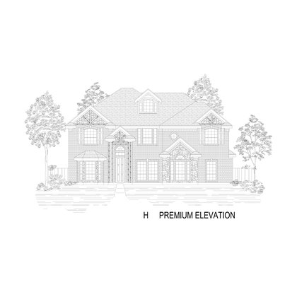 ElevationImage