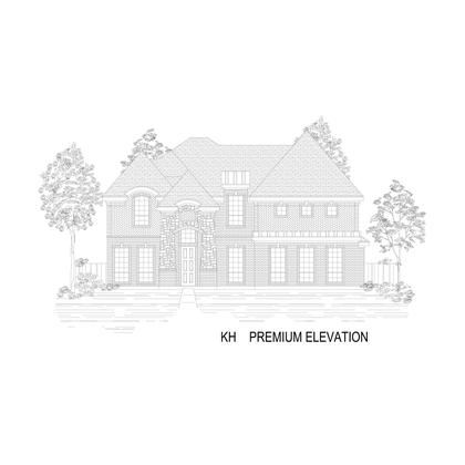 ElevationImage